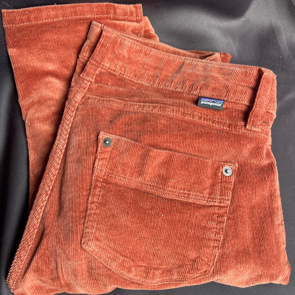 Patagonia Corduroy Pants